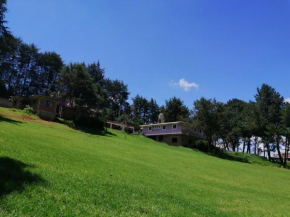 Hotel Bosques